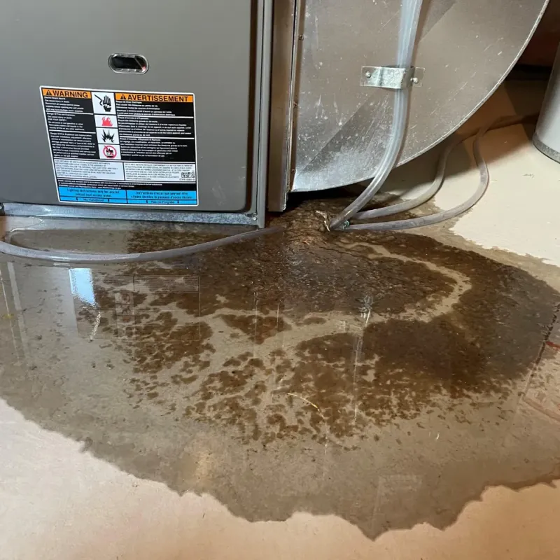 Appliance Leak Cleanup in Reno, NV